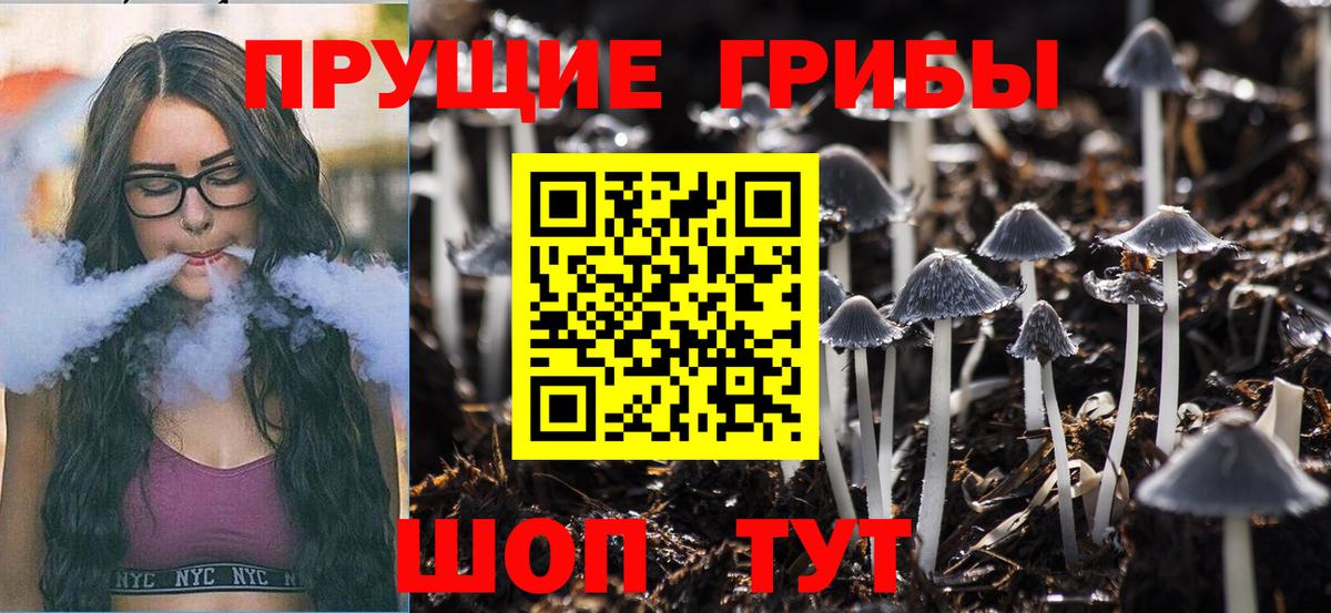 Галлюциногенные грибы ЛСД  Вход с VPN  Псилоцибиновые грибы MAGIC MUSHROOMS  Калининград 